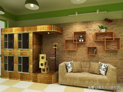 宠物服务项目简介:现在比较新奇的宠物服务都有哪些？