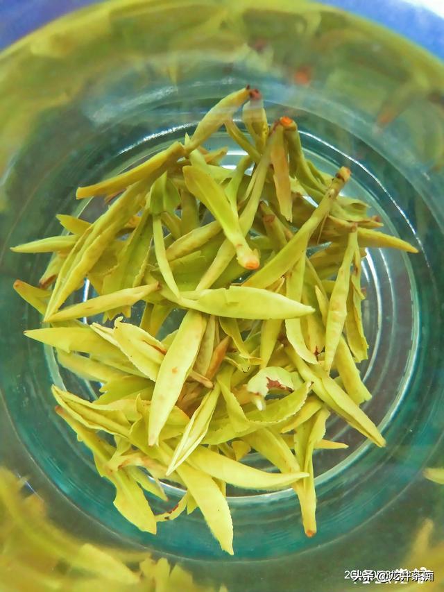 喝绿茶有哪些好处:绿茶什么时候喝比较好，喝哪种