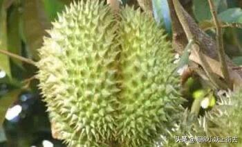 伊纳宝旺好:伊纳宝旺好狗粮怎么样 印度高调派出军舰保护从伊朗购买的石油，是在向美国炫耀什么吗？
