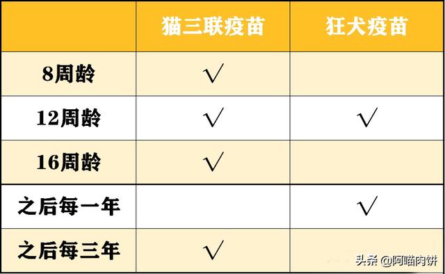 小龙猫用什么人工喂奶:如何照顾刚分娩的龙猫妈妈和小龙猫？ 小龙猫怎么人工喂奶