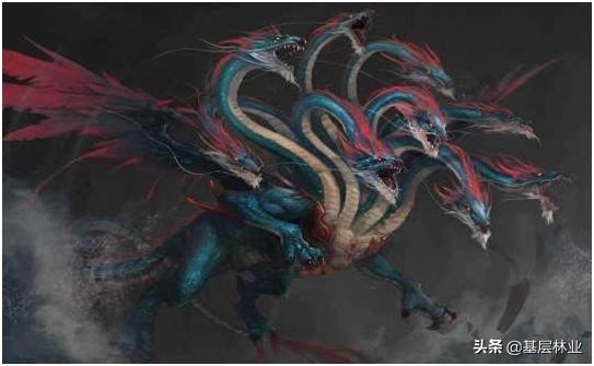 动物历劫灵异事件:在这个世间，你都看见过什么神秘生物？