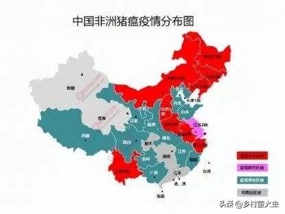 原肠动物病毒:非洲猪瘟是一种什么病？为什么有那么大的威力？