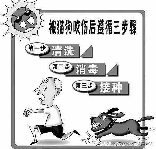 科学家找到抑制狂犬病毒关键开关:前三天被家猫抓了，昨天打了新冠疫苗，现在能打狂犬病疫苗吗？ 科学家找到抑制狂犬病毒关键开关 新闻