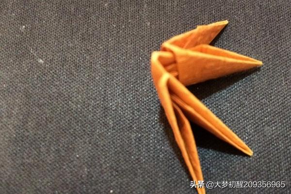 狗狗教程:训狗教程：正确训练狗狗的技巧？