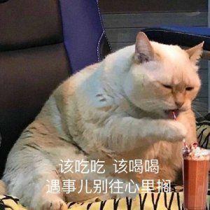 有做交易（外汇、期货等）只用技术分析（策略）3年以上稳定盈利,每年收益80%以上,回撤控制在15%的人吗？