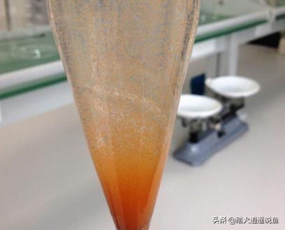 丰年虾孵化器:孵化丰年虾教程 可孵化丰年虾卵怎样存放？