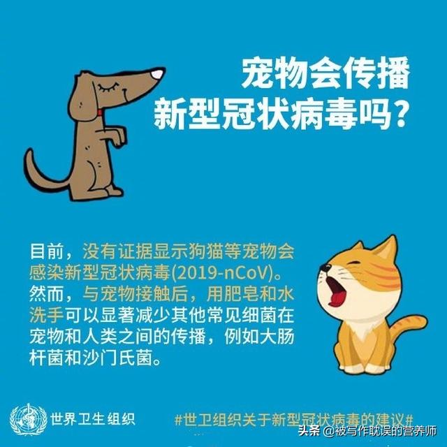 犬冠状病毒:新型冠状病毒会不会传染给家养宠物？为什么？