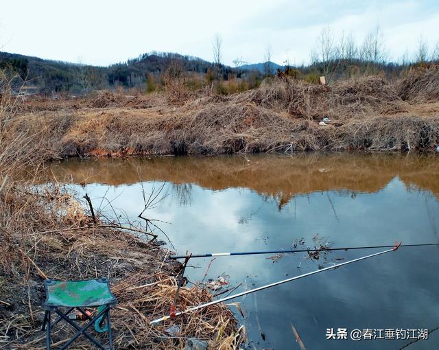 大水榕长出水面:真心请教，野钓水底长满了厚厚的水草（整条河都是）该如何作钓？