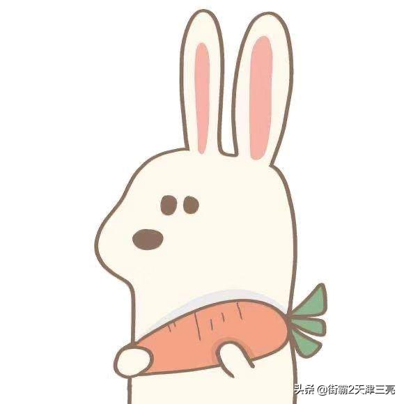 斑点狗图片大 全:为什么曾经很多人喜欢的斑点狗，现在却没人养呢？