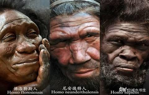 人类历史发展的基本特征，人类诞生有几百万年，为何我们时常感到人类的历史仅有几千年呢