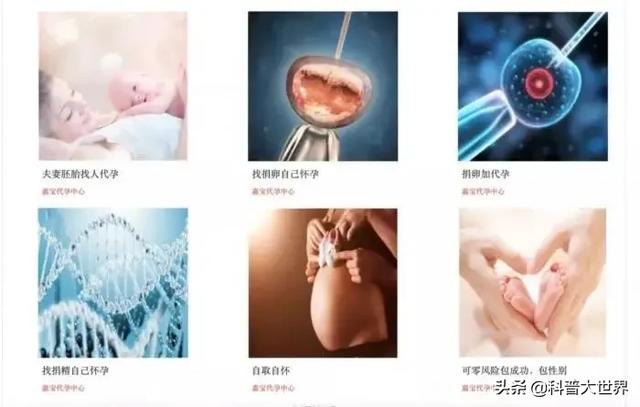 郑爽代育生子是怎么回事:郑爽代孕曝出的一系列代孕产业链，说明了当今部分人的什么问题？