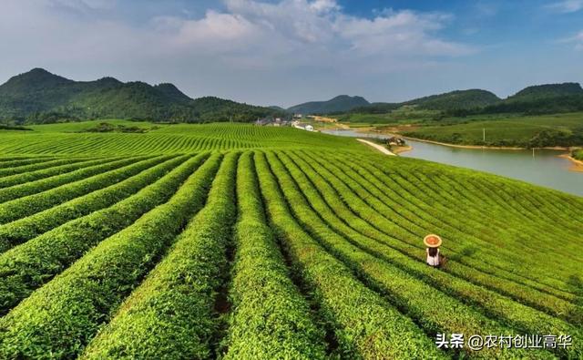 2020年农村户口没地的怎么办？