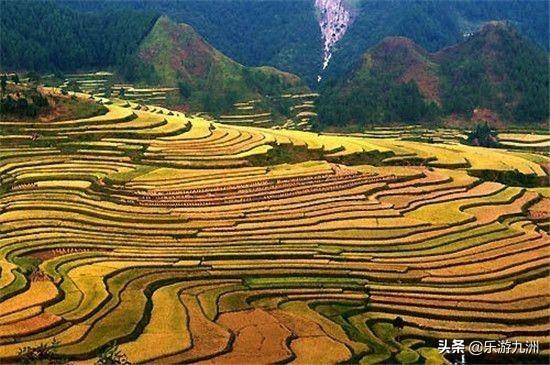 海口代驾乱象:谁知道海南大学毕业后，在海南工作好找吗