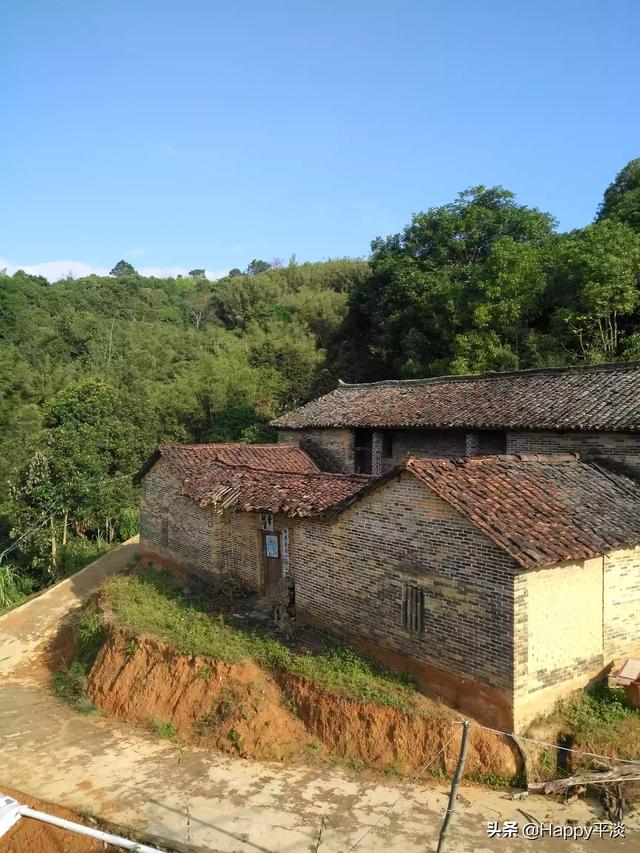 风水与八字百例廖咸萍,农村真的没有挣钱的路子吗？