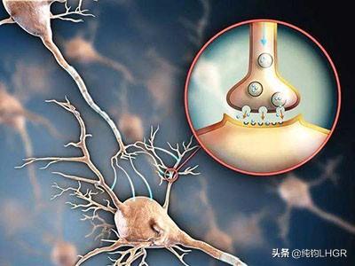 运动神经元疾病百科:有运动神经元病能剧烈运动吗？为什么？ 运动神经元疾病能活多长时间