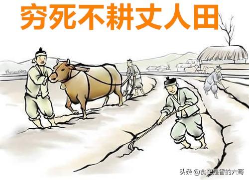 “不犁丈人地,不娶活汉妻”什么意思？