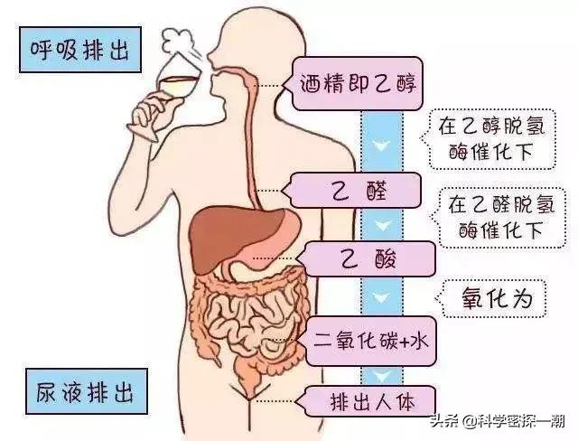 白酒最怕的解药是什么？插图2