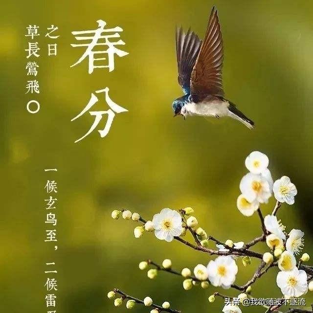 春分是哪一天:春分到了，春分有什么说法？