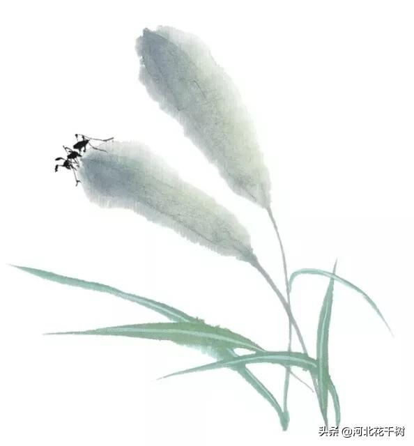 超钢女雪拉:为什么有的女人可以忍受家暴而不离婚？