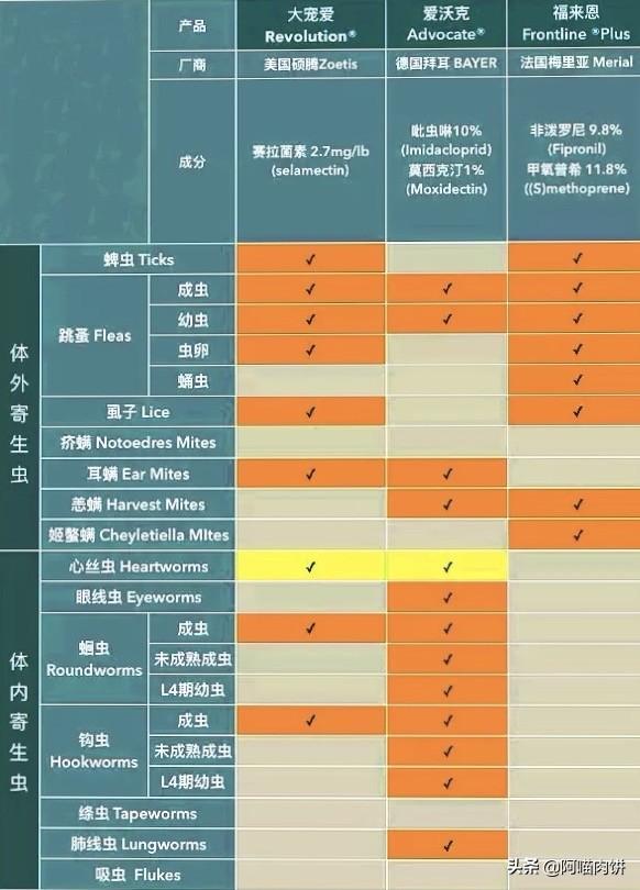 神采飞扬宠物团购:神采飞扬宠物店 如今市面上有什么冷门生意可做？