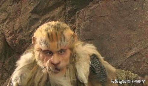 猛虎之家:现实中的老虎会和动漫中的老虎一模一样吗？