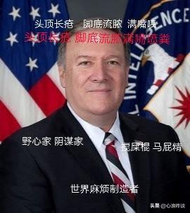 蔡和生平简介:至今为止！蓬佩奥到底是个什么样的人物？
