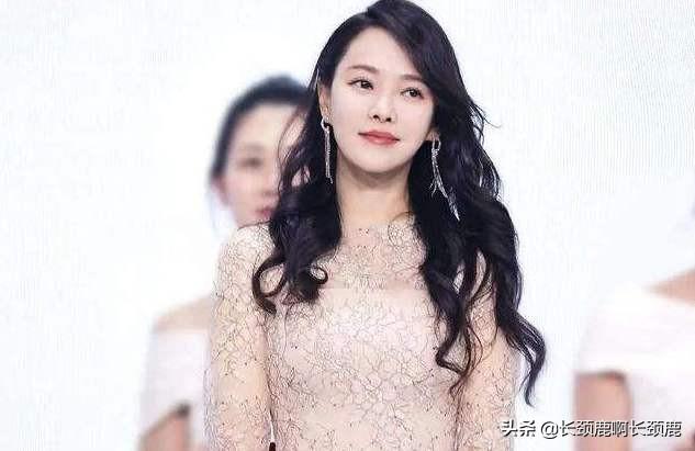 乘风破浪的姐姐加更:看《乘风破浪的姐姐》谁是最励志的那一个