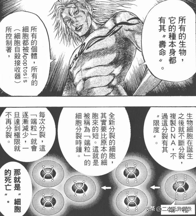 头条问答 如何评价漫画 神鬼一族 7个回答