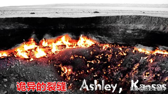 二哈都市灵异事件:“二哈”哈士奇为什么叫“撒手没”？