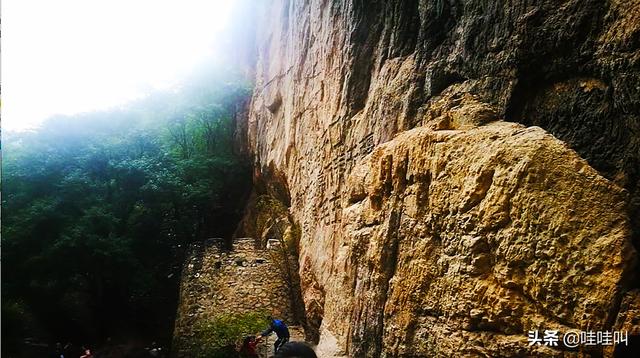 萨路基沙漠追羚羊视频:今年7月适合去哪儿旅游？