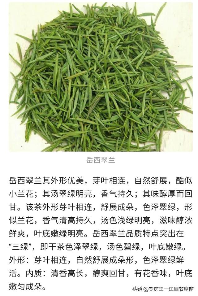 望推荐！安徽有哪些品种的茶叶？