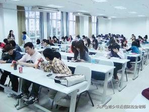 成人高考專升本有哪些專業，哪些好一點，實用一點謝謝(上海專升本考試網)