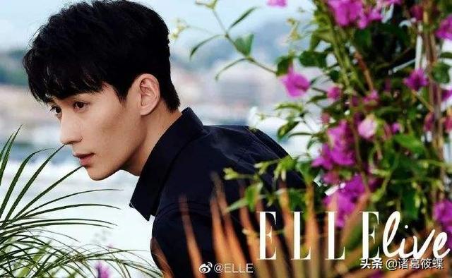 袁珊珊整容了吗:为什么感觉每个明星都被黑过为什么会有黑粉