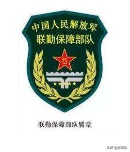 战略支援部队徽章图片图片