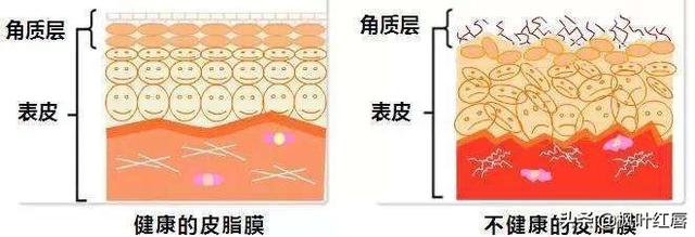 拜宠爽作用原理:如果一个农民发现了反重力的原理，他该怎么办？