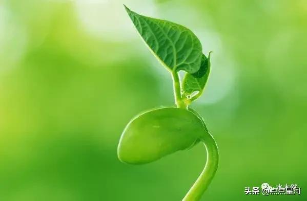 你如何用通俗易懂的语言来解读一下《易经》,让他走向大众,走进大众？