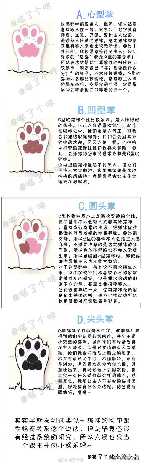 曼克斯猫性格:怎么通过猫咪的爪相看性格？ 曼克斯猫