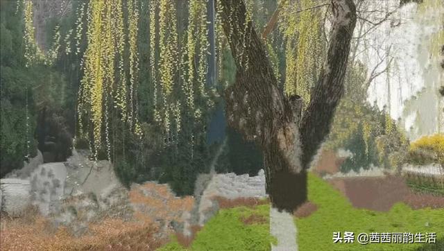 八一大桥灵异事件:南昌市八一桥桥头上放一白一黑两只猫，对城市或对人寓意着什么？