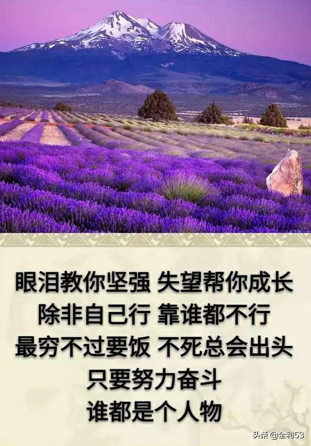 为什么感觉活了大半辈子还不明白“人要是没了,钱是带不走的”？
