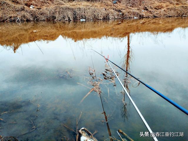 真心请教 野钓水底长满了厚厚的水草 整条河都是 该如何作钓 头条问答