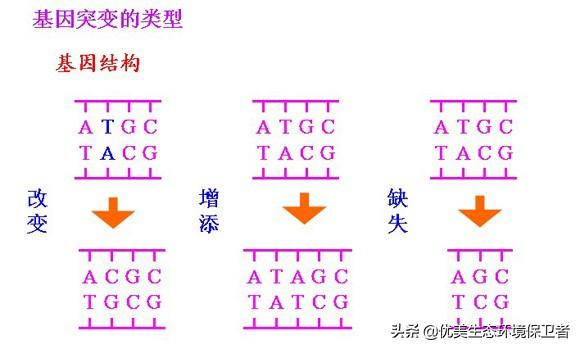 波多黎各巨人蜈蚣:切尔诺贝利变异巨鼠真的存在吗？这附近还存在其他变异生物吗？