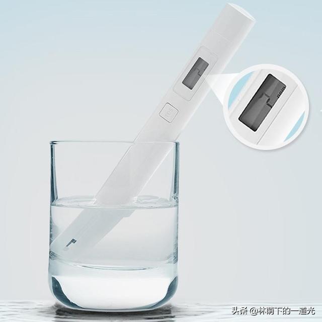 红珍珠狗头饲养:40厘米小鱼缸，想养一条纯淡水冷水狗头鱼，有什么品种推荐？