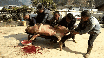 400_224gif 动态图 动图