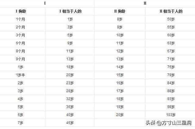 狗的平均寿命:狗的平均寿命是多少岁 狗的寿命是多少年？平均寿命12-15年【附狗的寿命算法】？