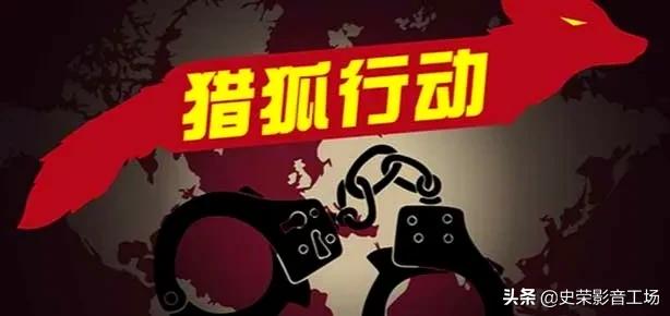 21年上映的几部热门电影,哪一部电影最好看？