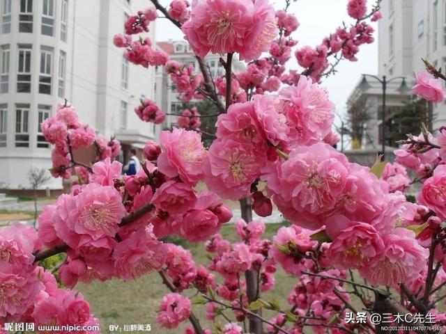 败财怎么化解,怎样才能化解仇恨和愤怒？