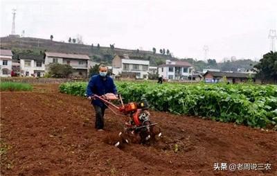 头条问答 葱什么时候分根移栽 28个回答