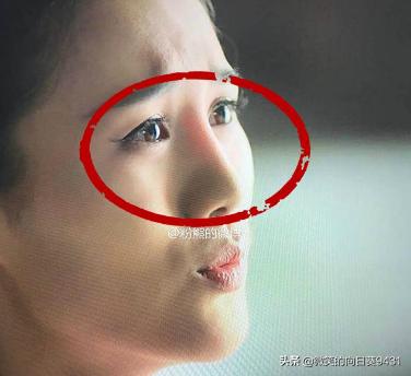 人鼻腔结构图:鼻子透光能证明是整容的吗？