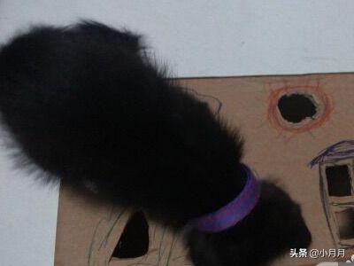 自制创意猫抓板:猫咪经常抓毯子，不抓猫抓板，该怎么办？