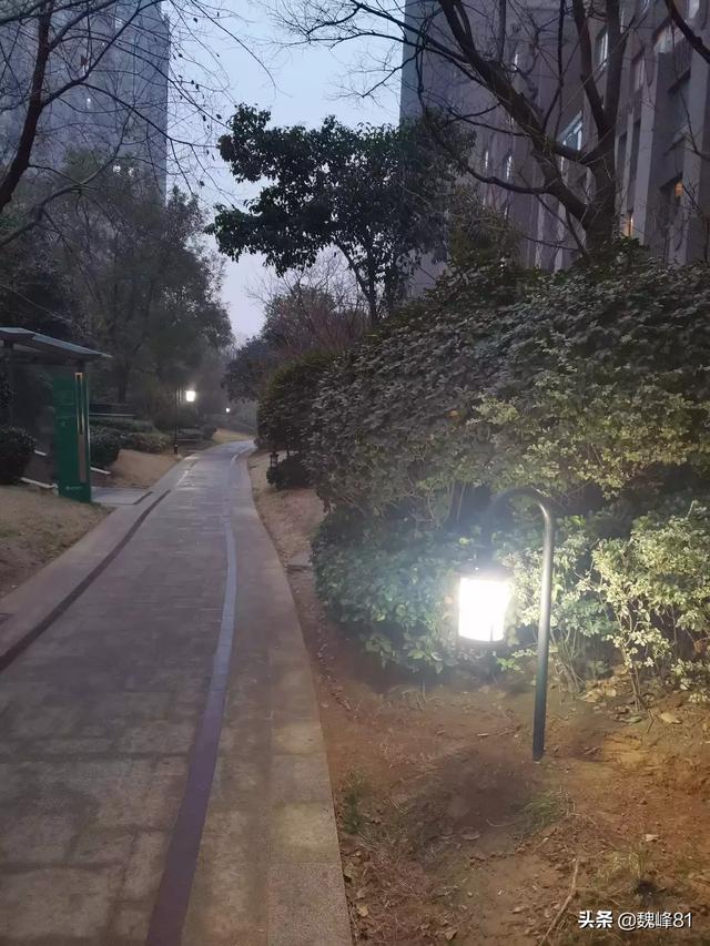 是不是真的有墨菲定律？